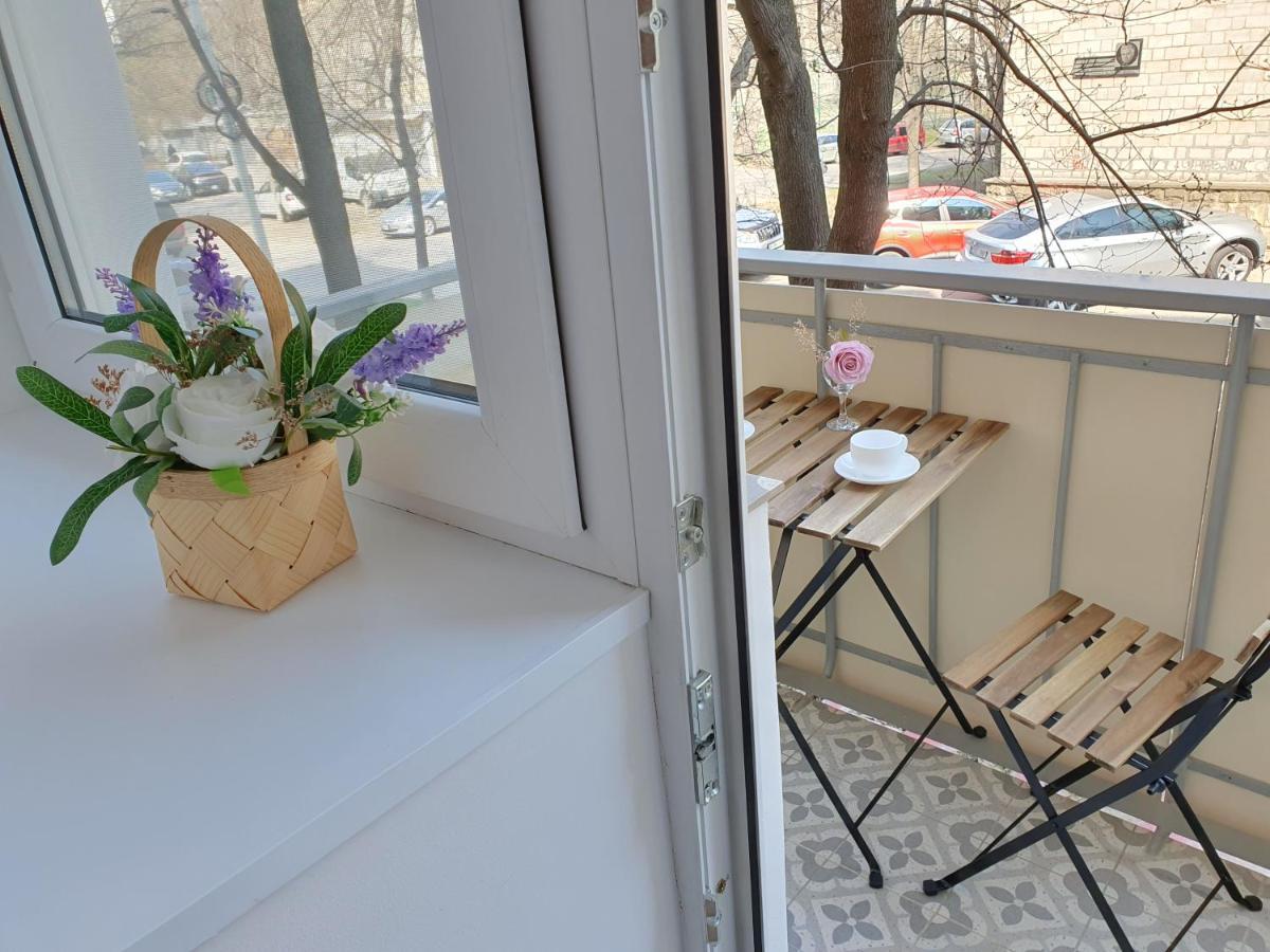 All New And Cozy Apartment In The Silence Center Chişinău Eksteriør billede